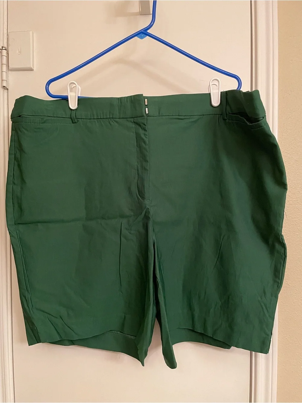 NEW Lane Bryant Shorts
